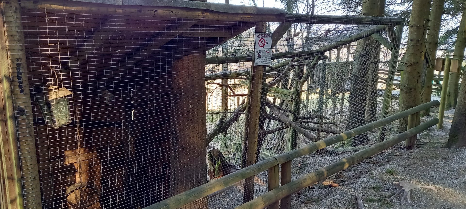 Beech marten enclosure