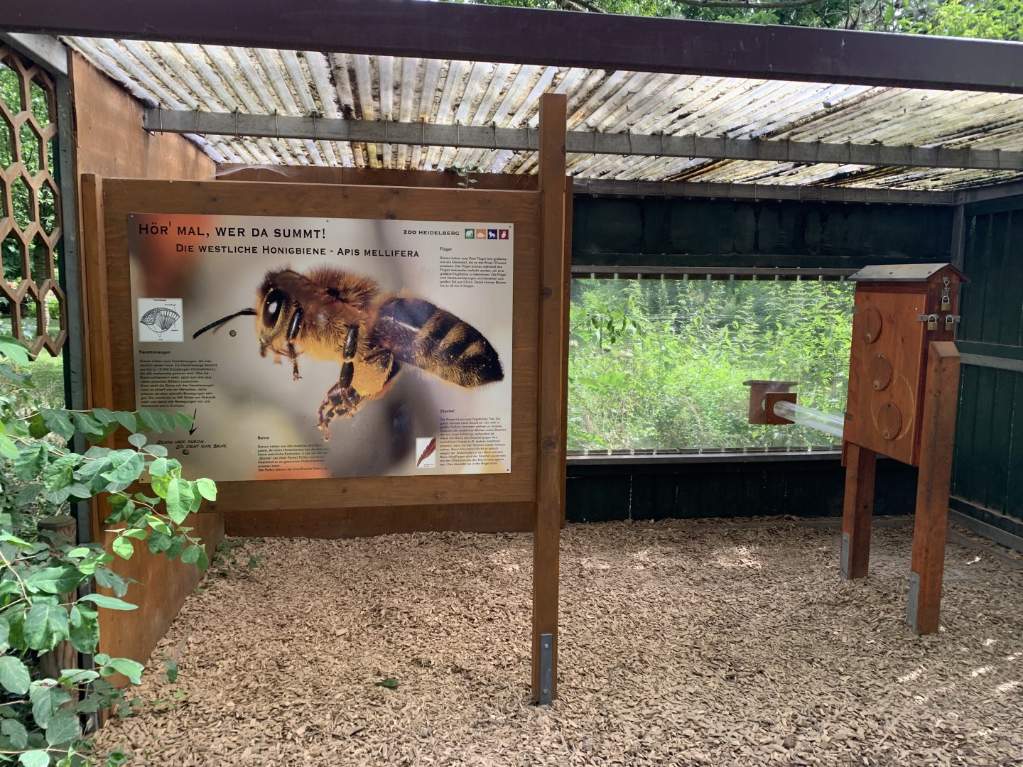 Beehive exhibit