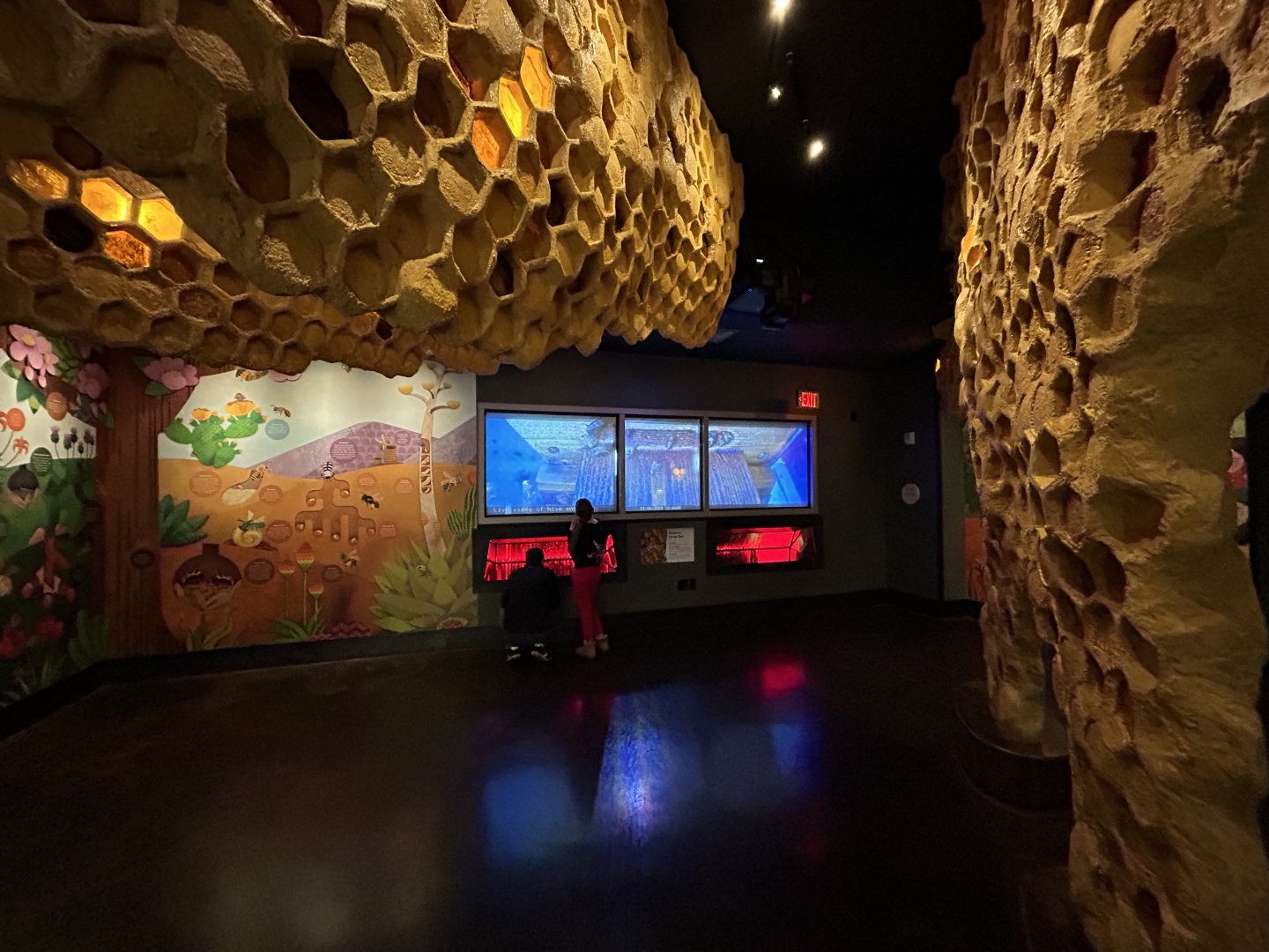 Beehive in Spineless Marvels - Wildlife Explorers Basecamp