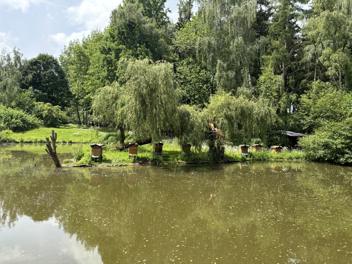 Beehives at Wildpark Poing
