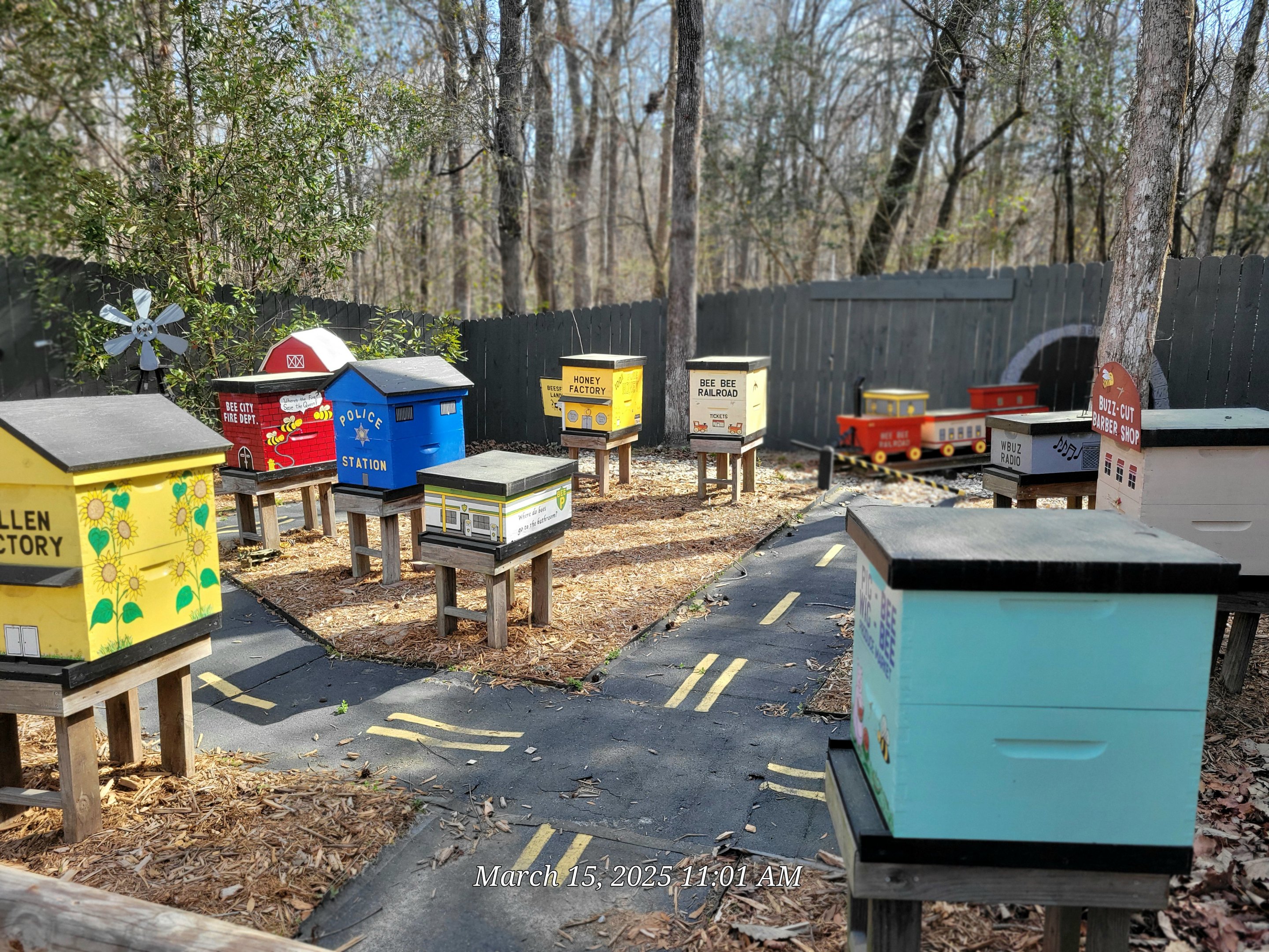 Beehives - Bee City Zoo - March 2025