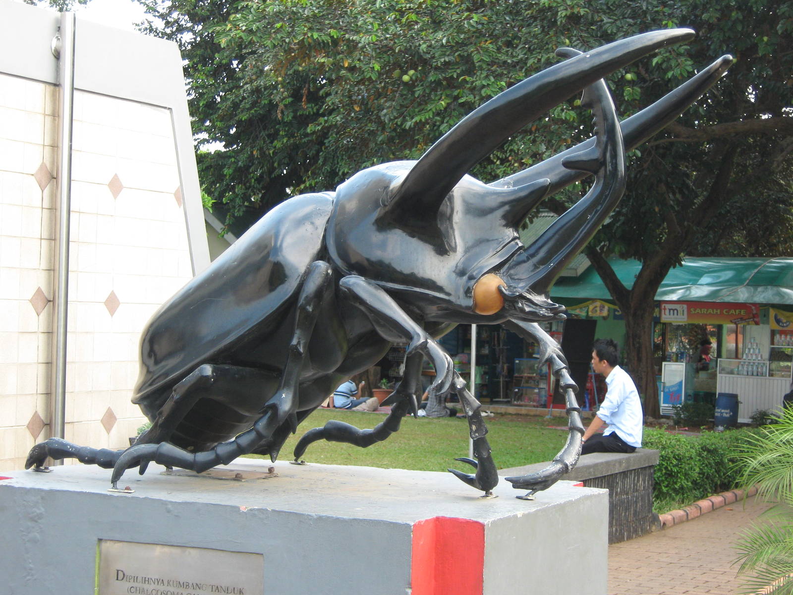 beetle statue outside the Insectarium