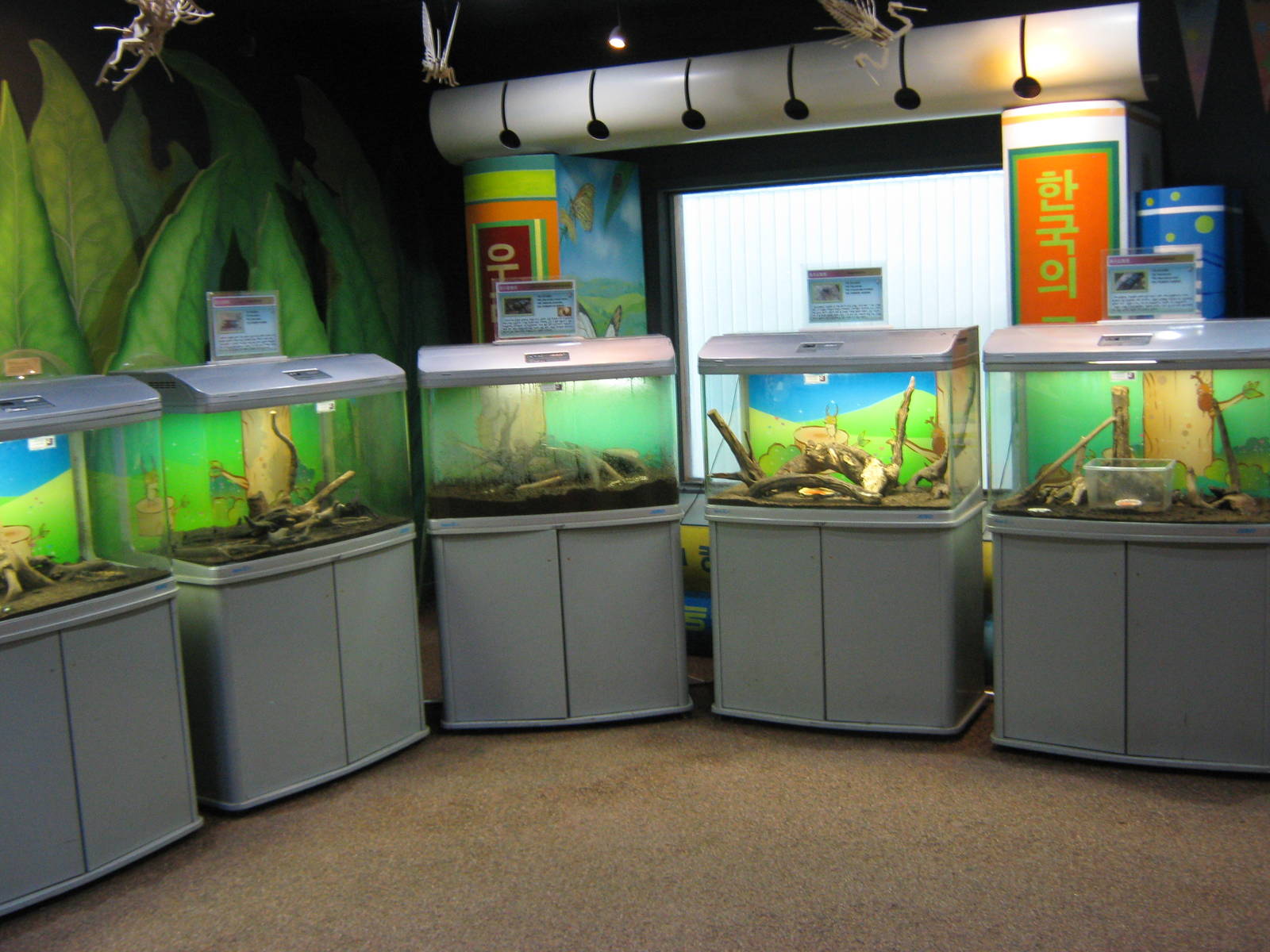 beetle tanks in the Insectarium