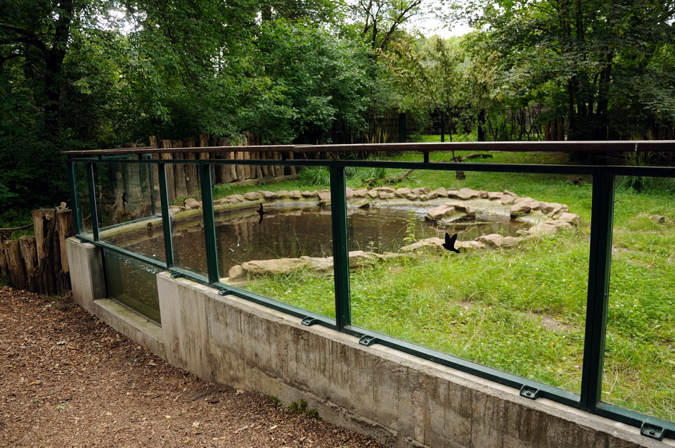 Beever exhibit at Dessau