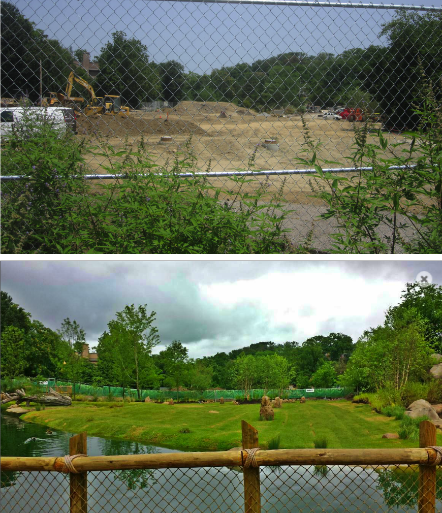 Before and After of the African Plains - Same Perspective