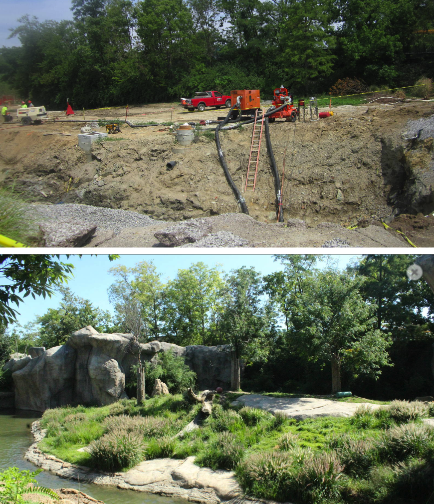 Before and After of the Lion Exhibit - Same Perspective