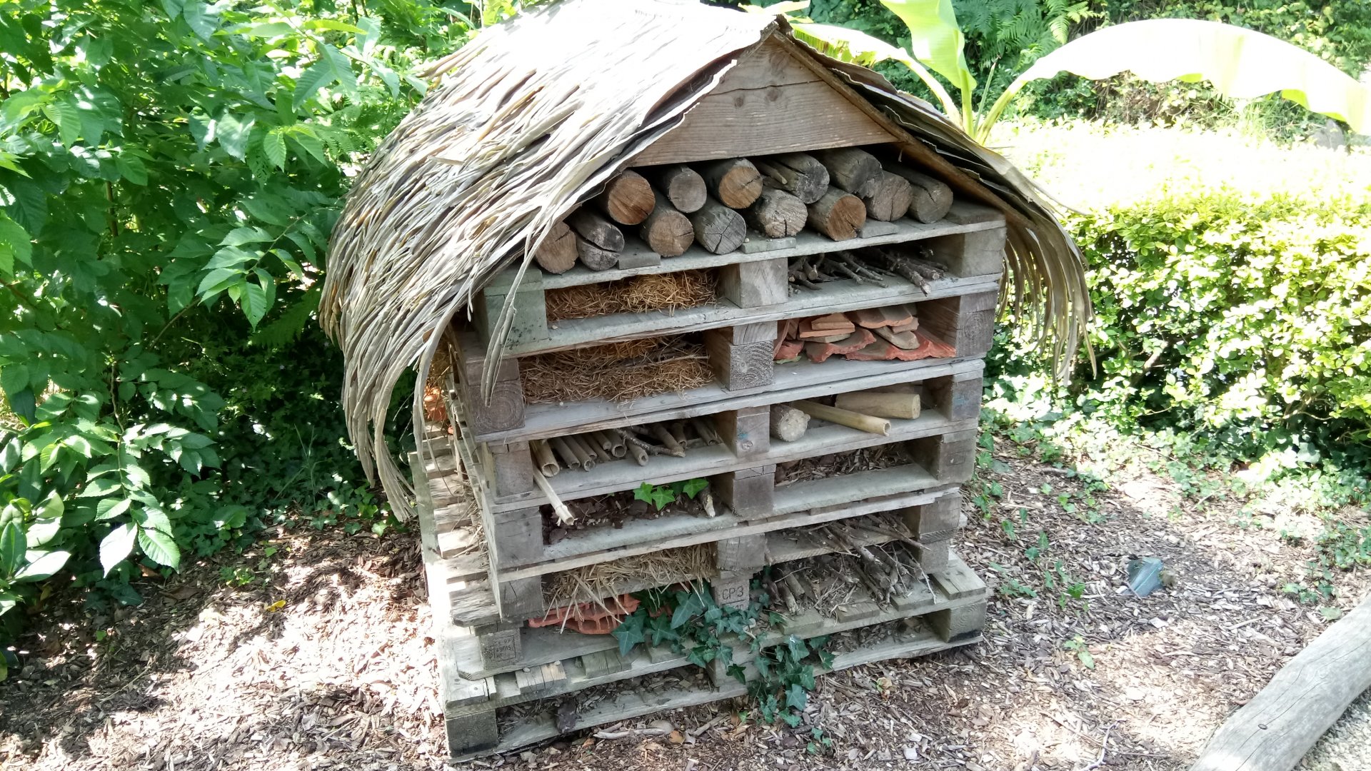 Before entrance - Insect hotel