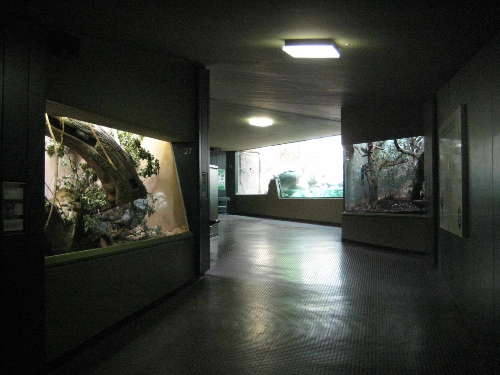 Begin of the daylight department