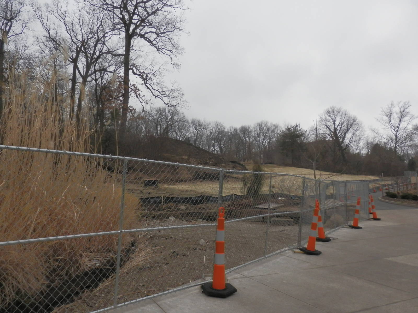 Begining of Grizzly Ridge