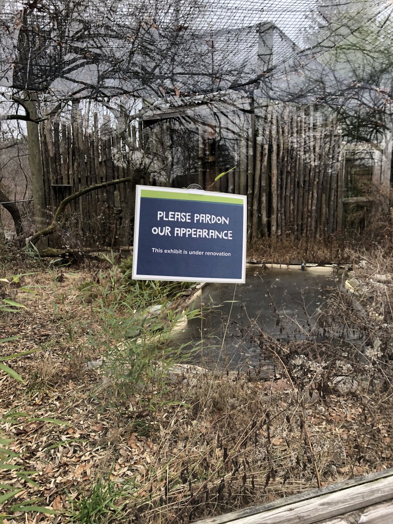 Beginning Demolition of old River Otter Habitat - Feb, 2020