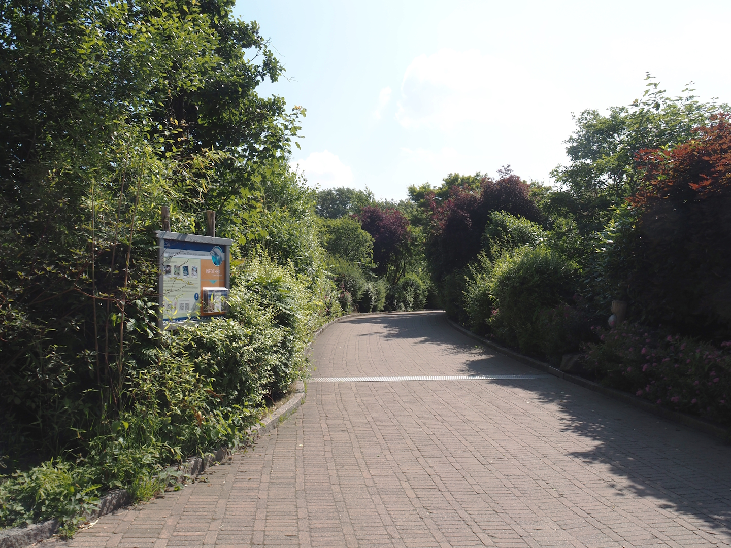 Beginning of landscape bridge over railway and highway connecting the two parts of the zoo, 2024-06-08
