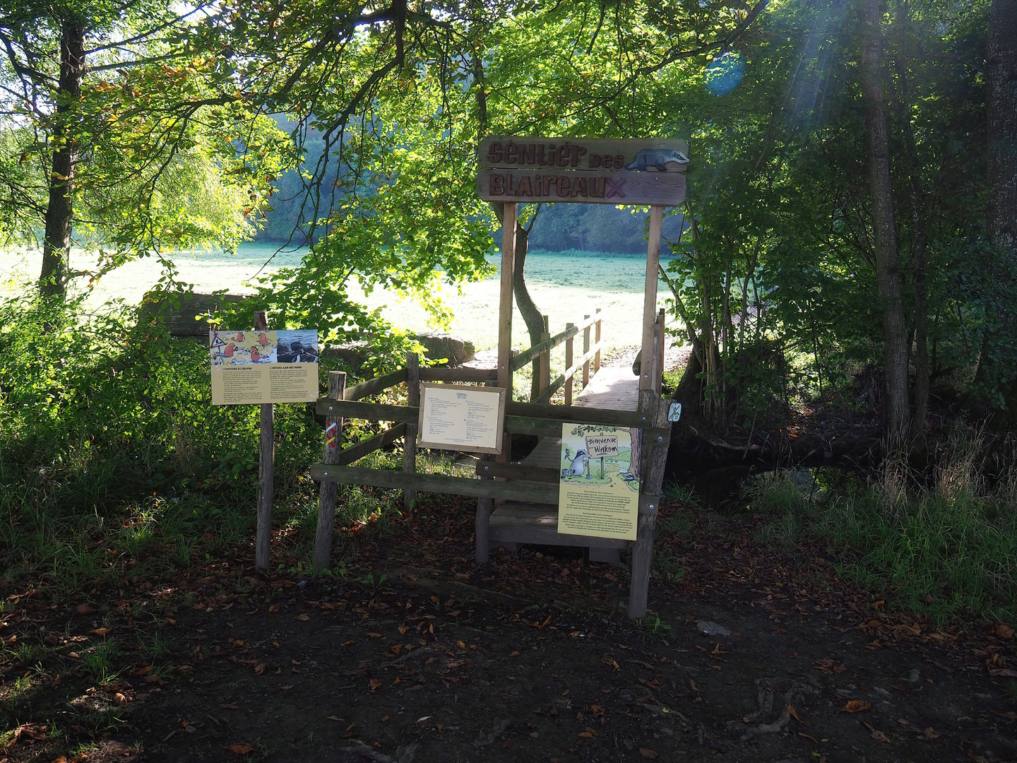 Beginning of the "Badger Trail" to the wildlife park, 2023-09-26