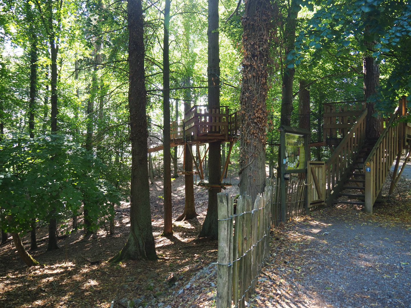 Beginning of the Canopy trail, 2020-07-12