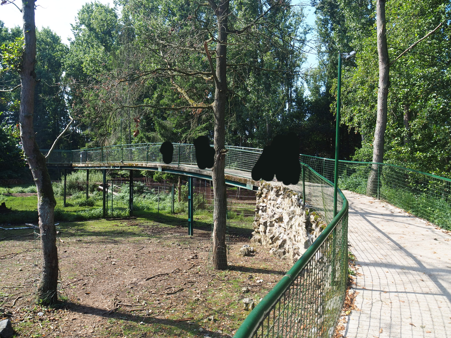 Beginning of the walking bridge through the bison, wolf, fox and bear area, 2019-08-04