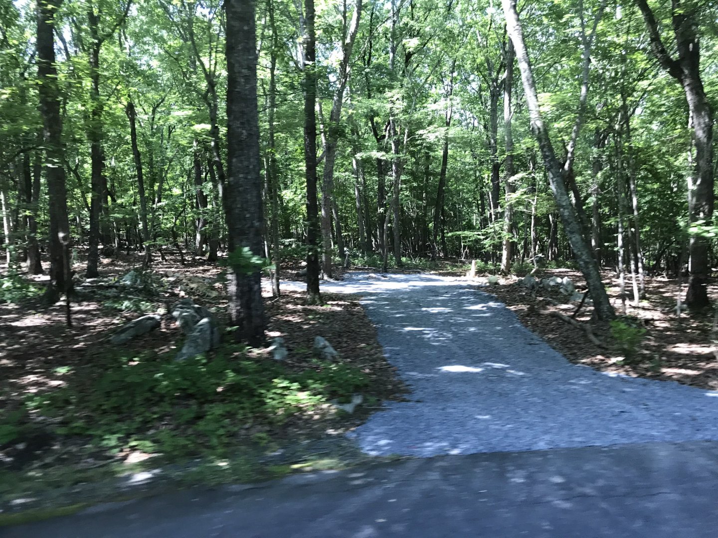 Beginning to Clear Land at Future Asia Exhibit