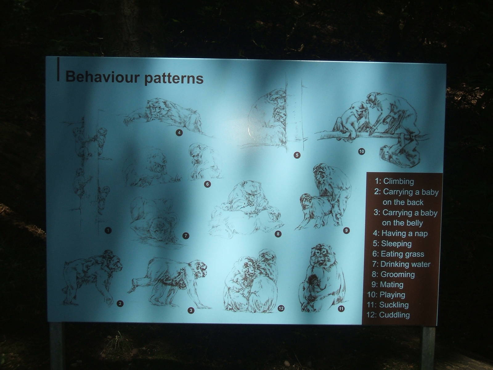 Behaviour sign