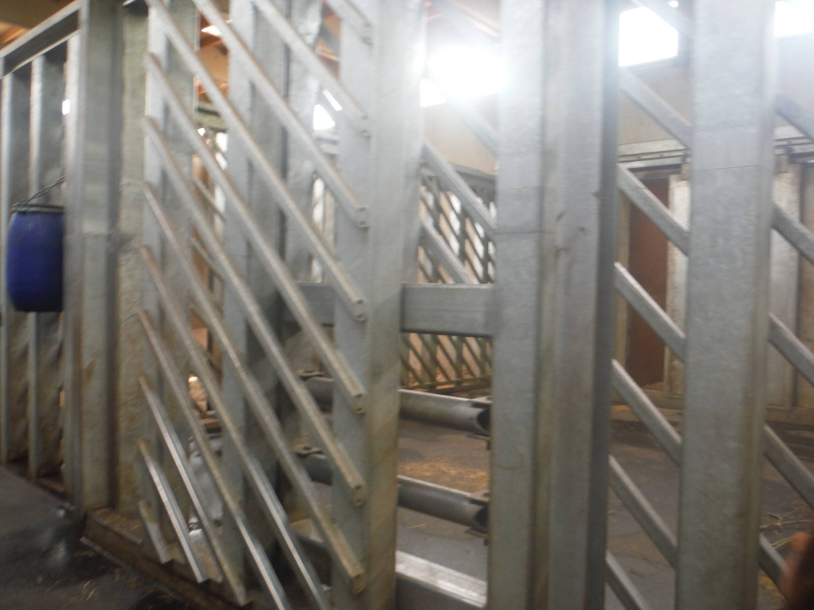 Behid the Scenes - Elephant Stalls