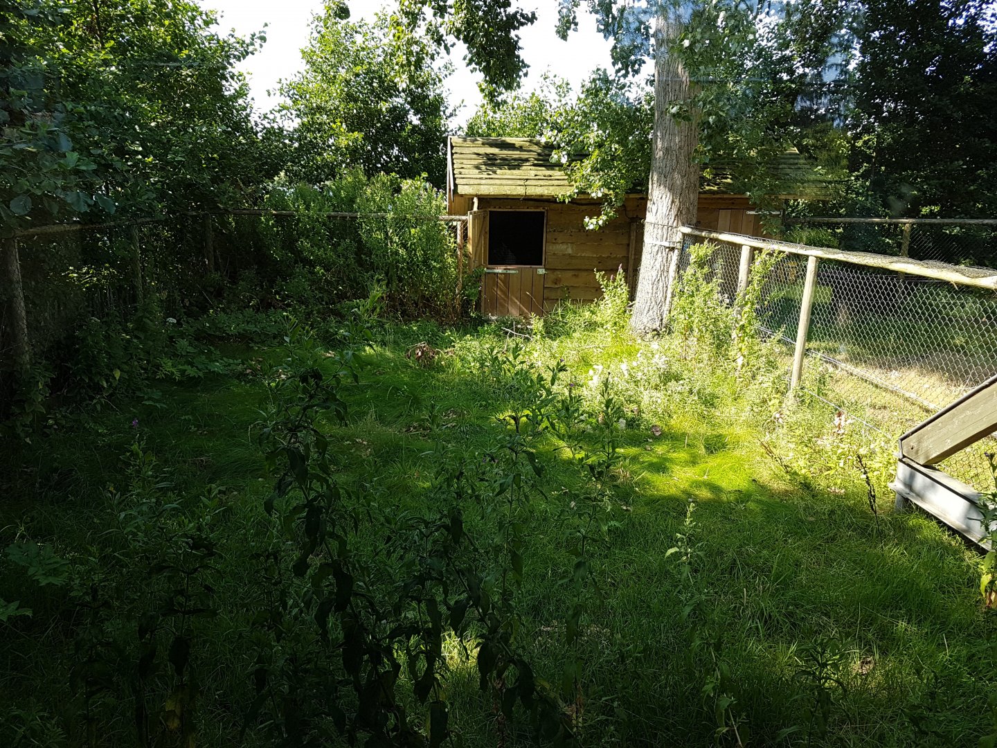 Behind the scene-enclosure