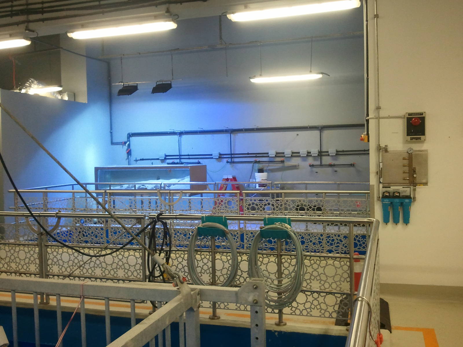 Behind the scene of the Dubai Aquarium 02