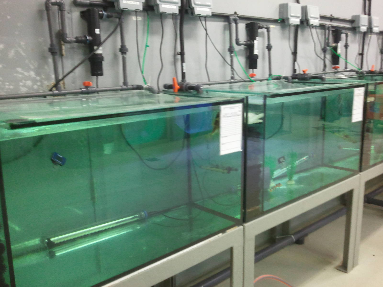 Behind the scene of the Dubai Aquarium 05