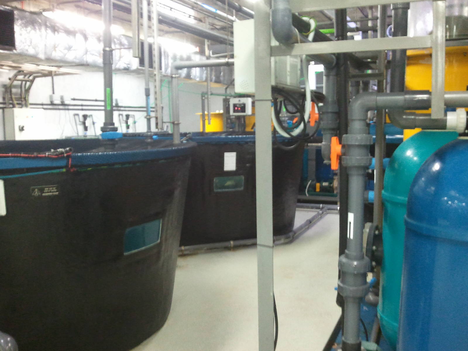 Behind the scene of the Dubai Aquarium 06