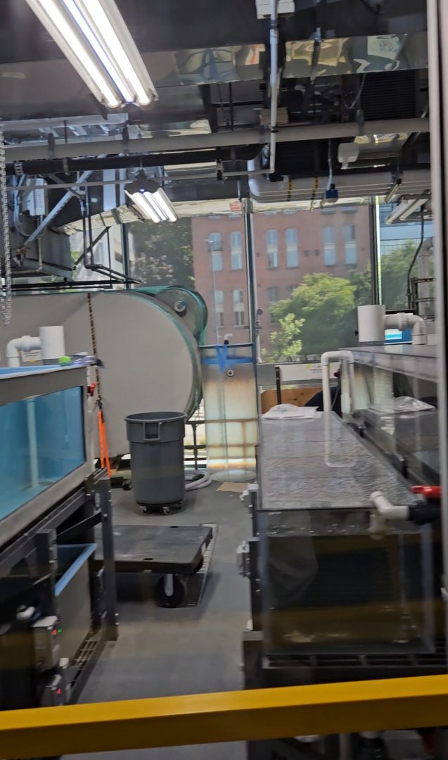 Behind the Scenes (1 half)