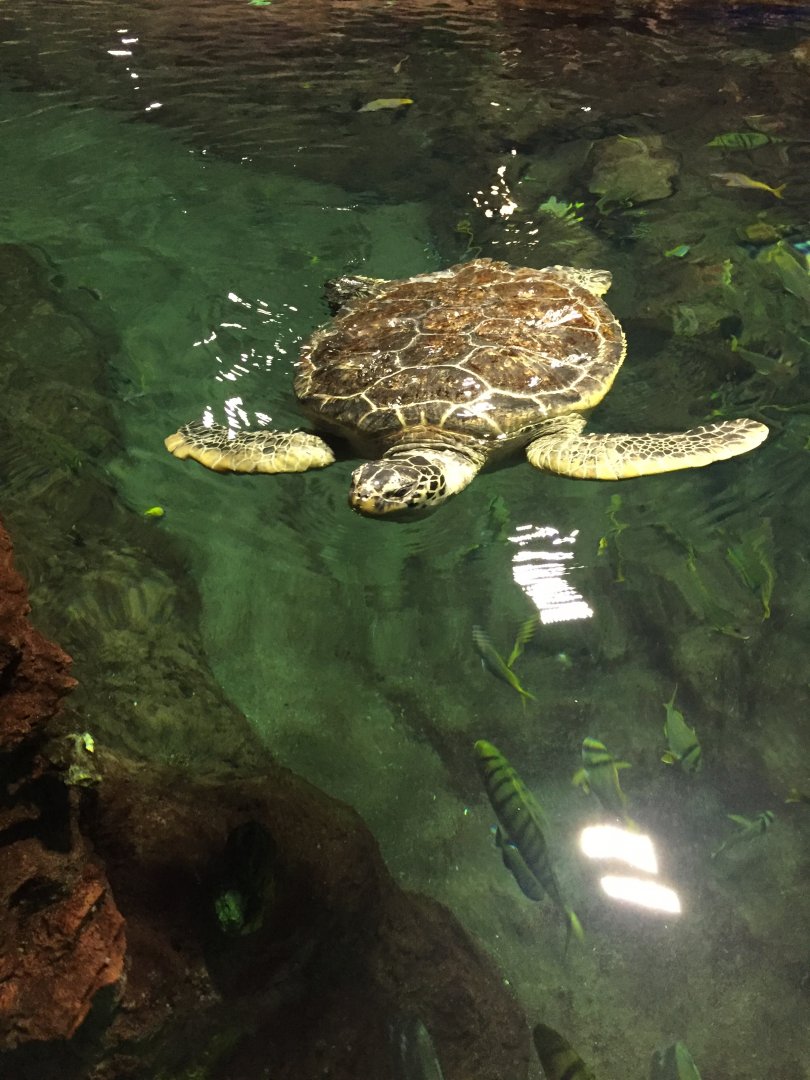 Behind the Scenes 2019