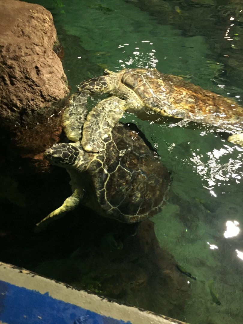 Behind the Scenes 2019