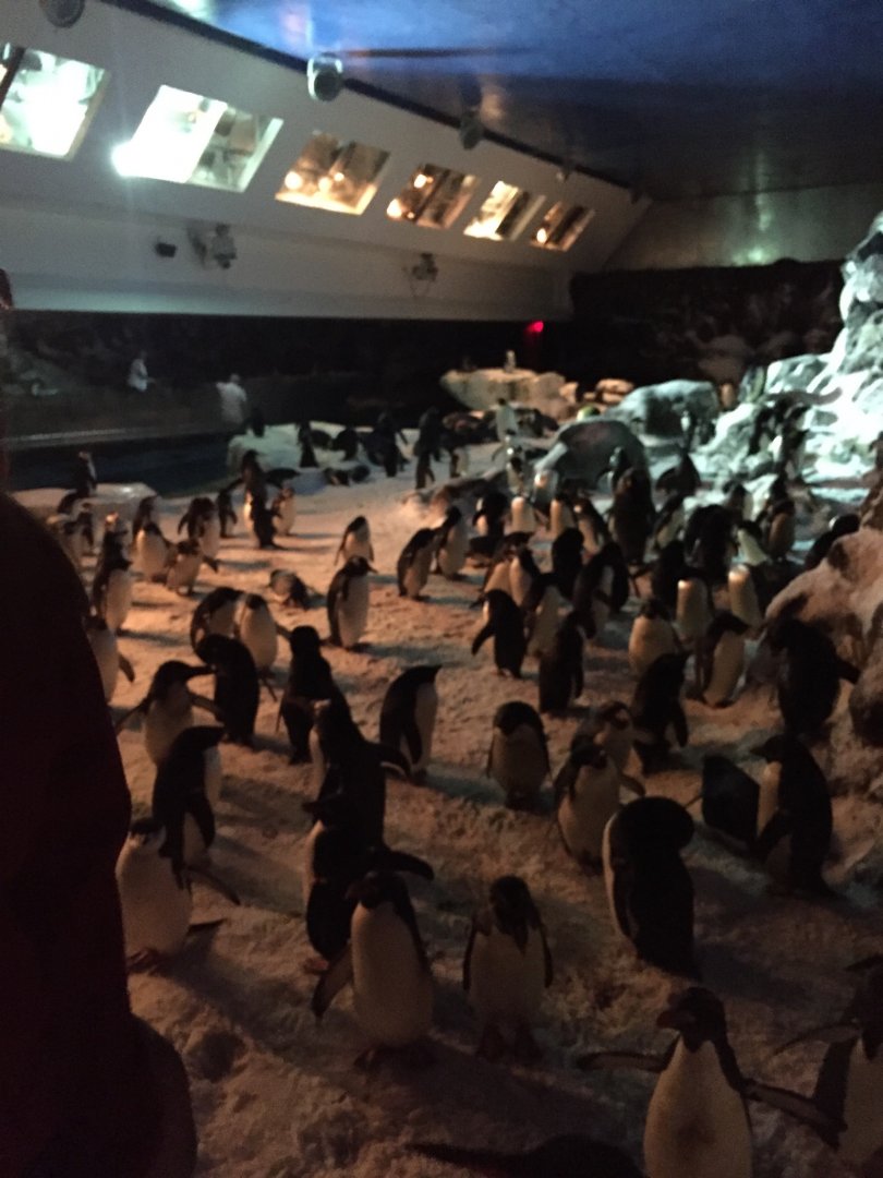 Behind the Scenes 2019