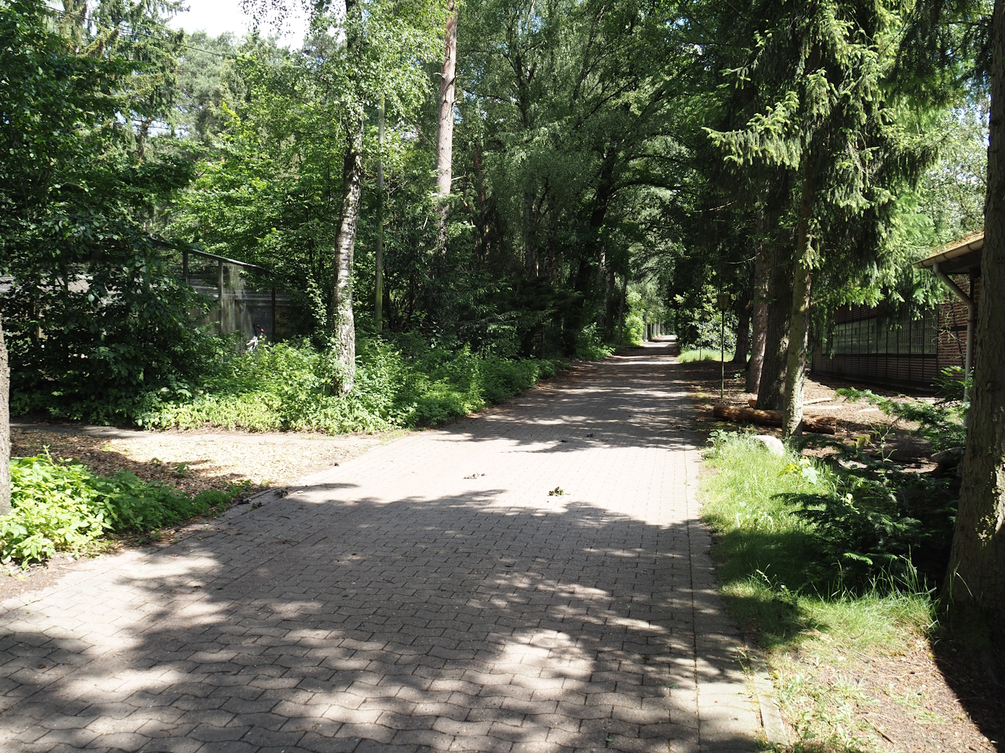 Behind-the-scenes area, seen from the access to the 'Blick hinter den Kulissen' area, 2024-05-23
