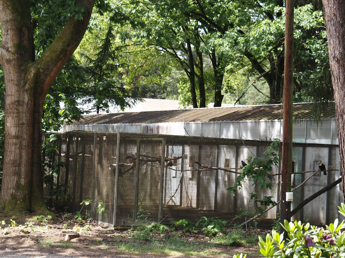 Behind-the-scenes aviaries, seen from the access to the 'Blick hinter den Kulissen' area, 2024-05-23