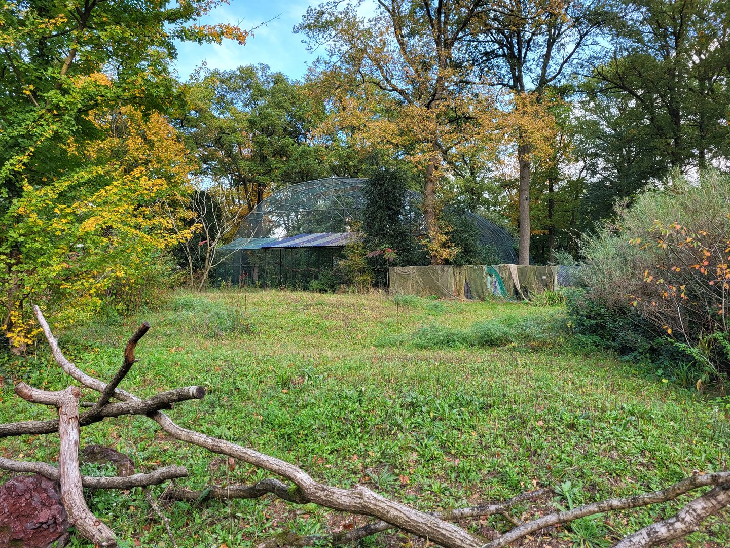 Behind the scenes-aviary