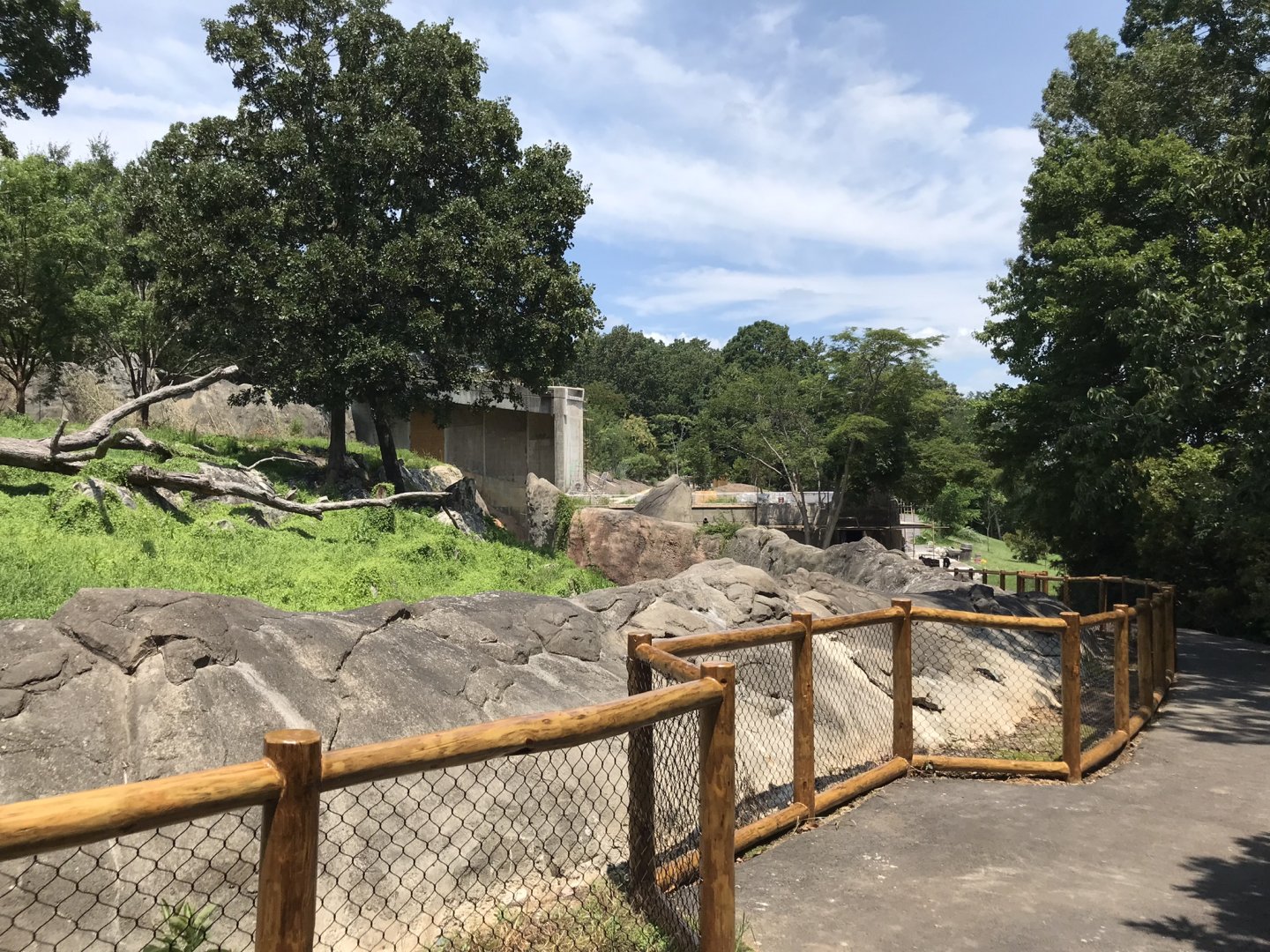 Behind the Scenes: Baboon Habitat Construction