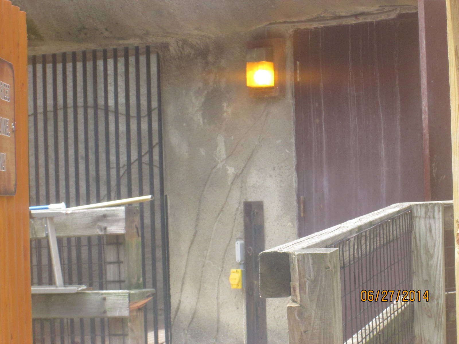 Behind the Scenes Bear exhibit