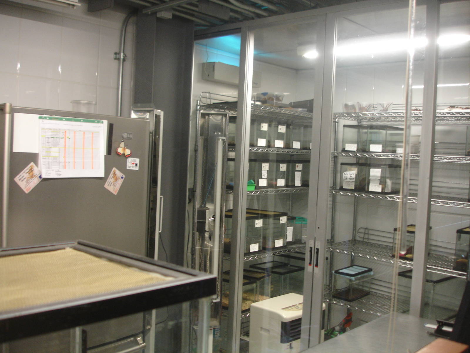 Behind the scenes - bugs