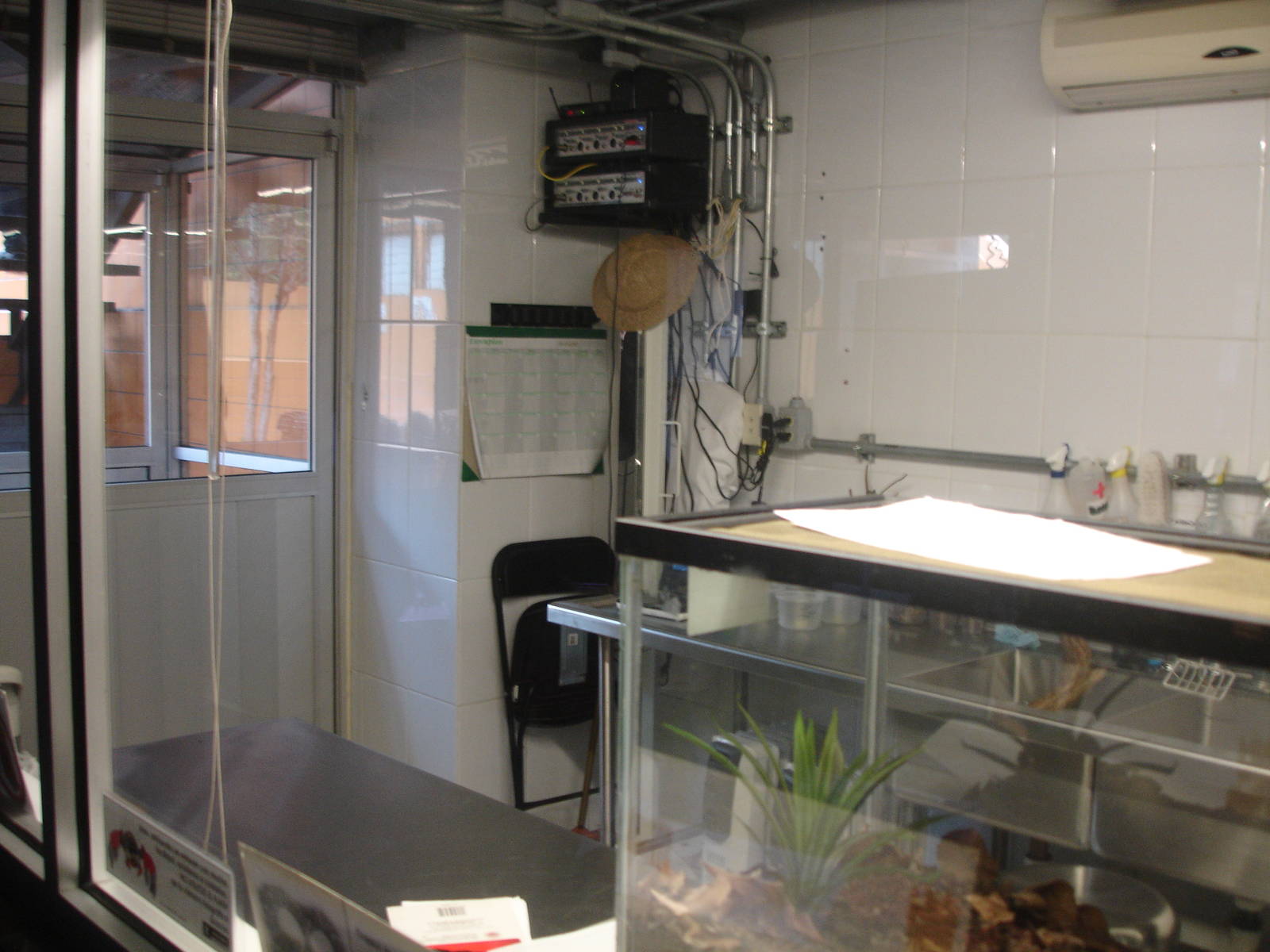 Behind the scenes - bugs