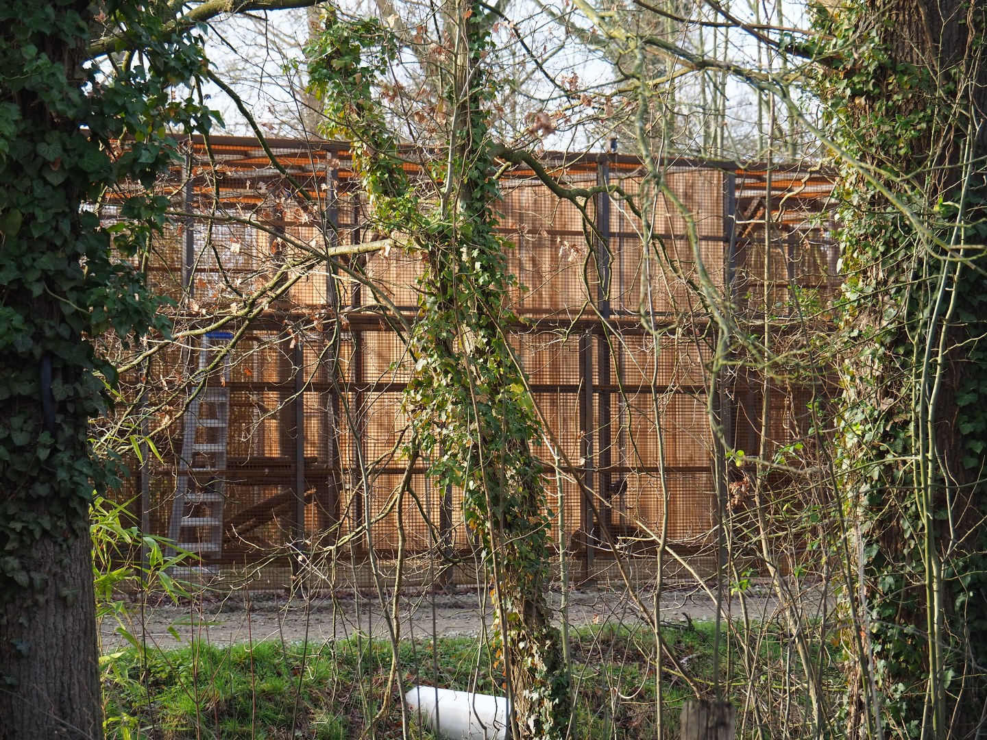 Behind the scenes cage for animals from Antwerp, 2020-01-11
