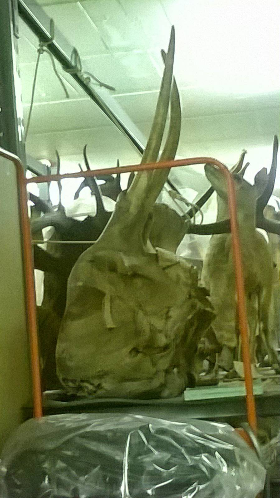 behind the scenes City of Bristol Museum