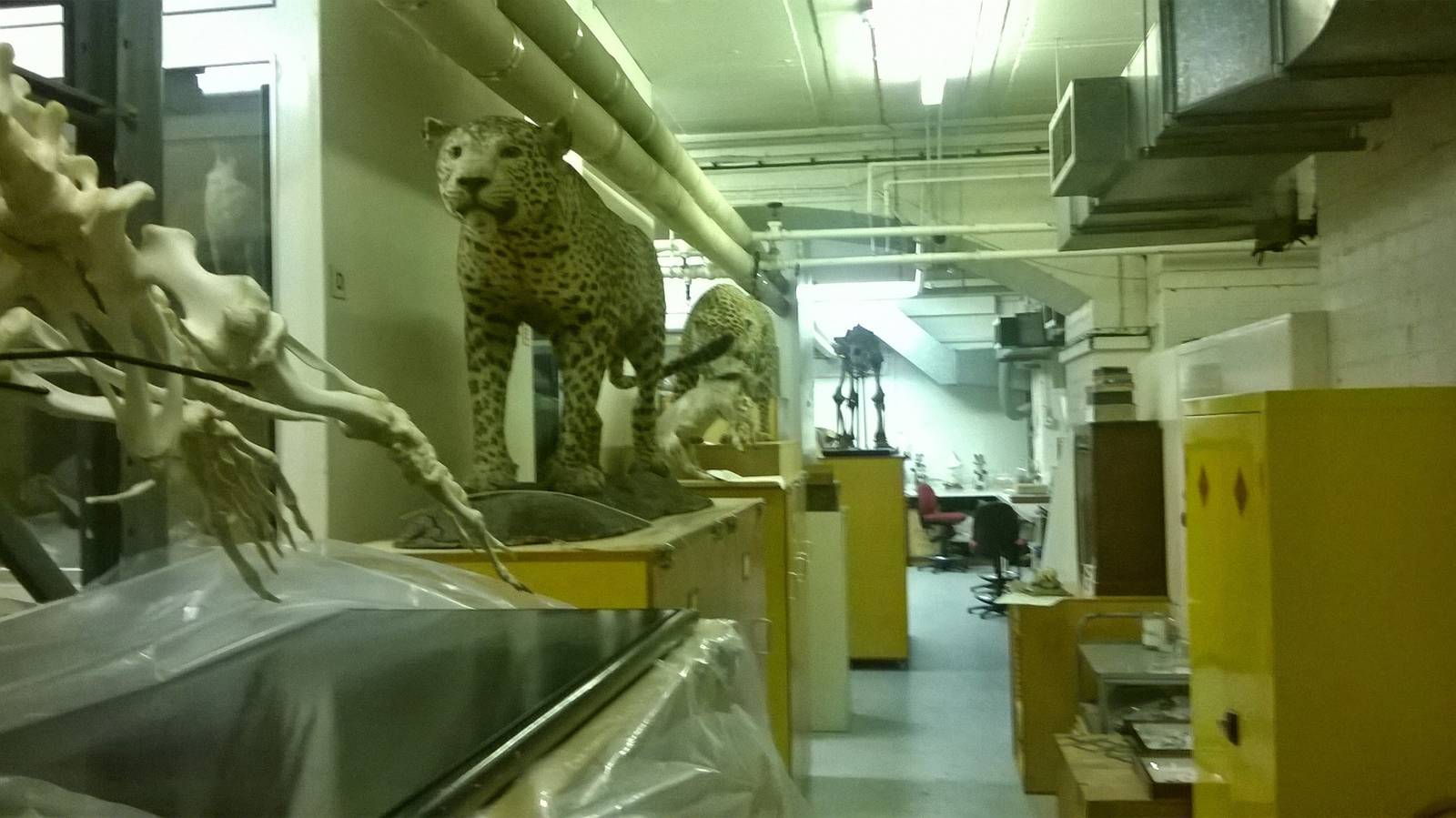 behind the scenes City of Bristol Museum