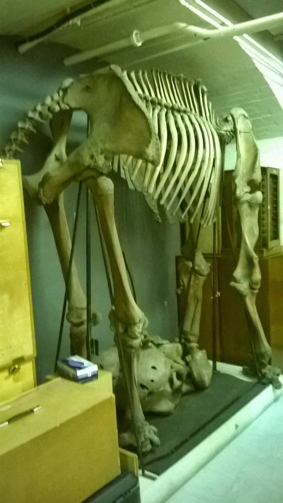 behind the scenes City of Bristol Museum