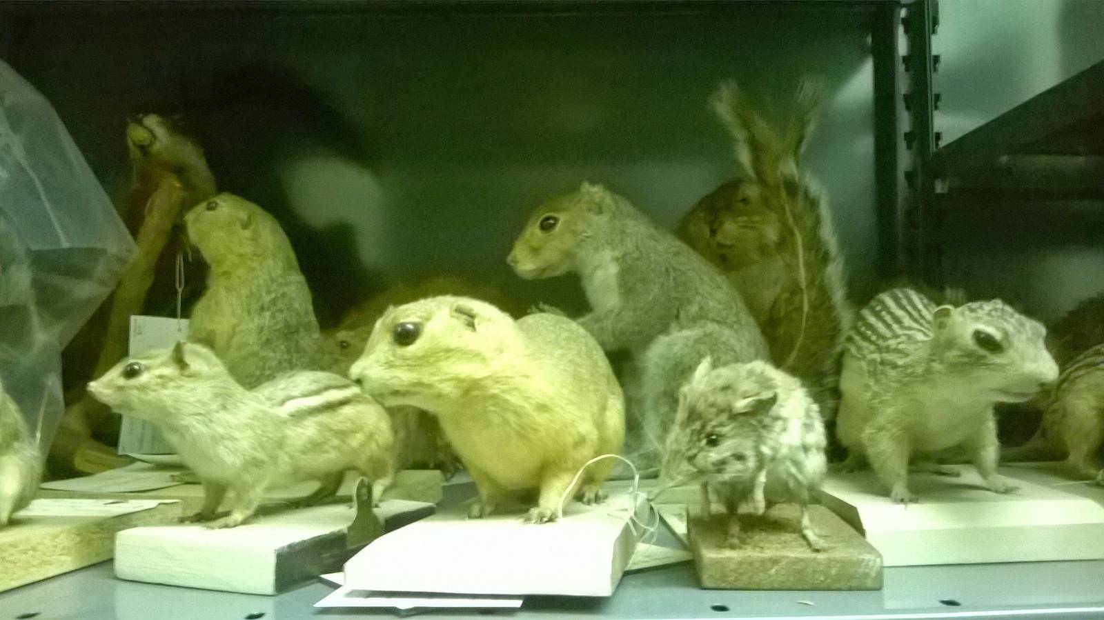 behind the scenes City of Bristol Museum