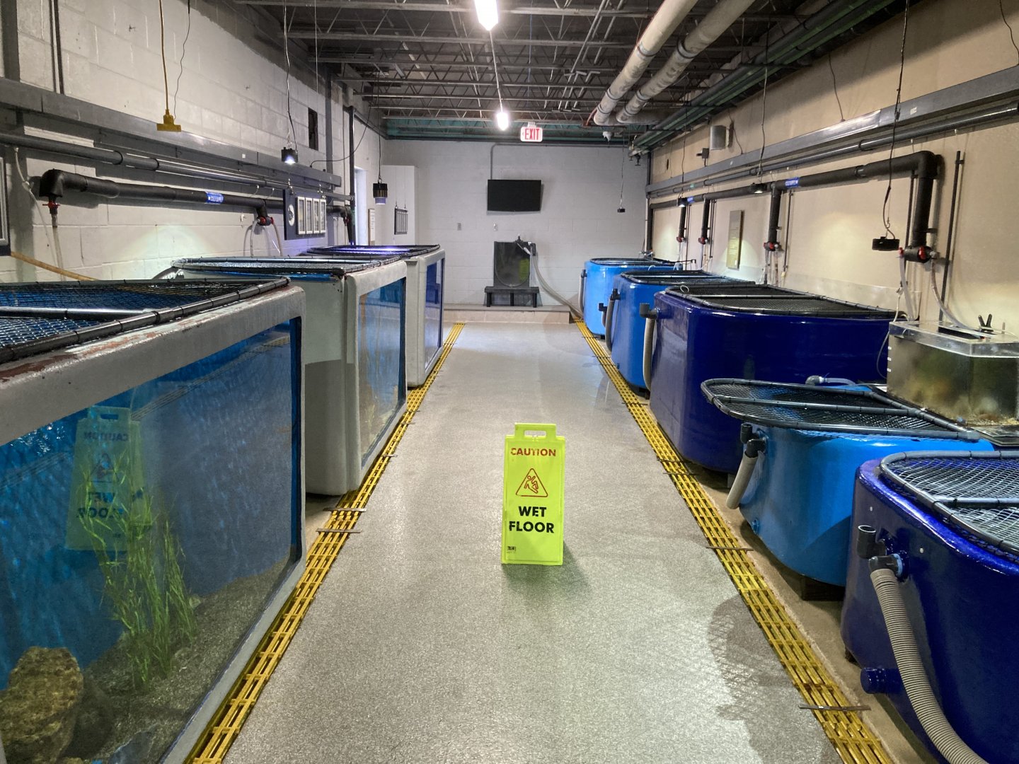 Behind the Scenes Corridor (open to the public)