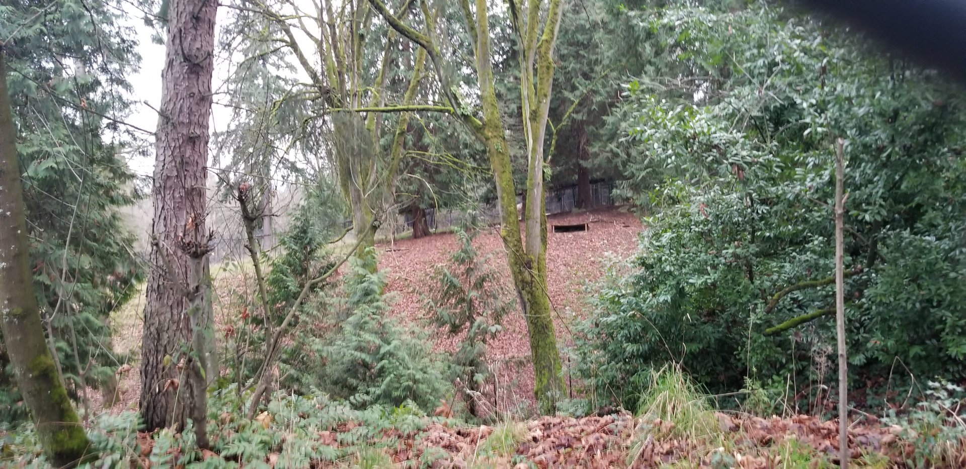 Behind the Scenes enclosure / back of elk exhibit