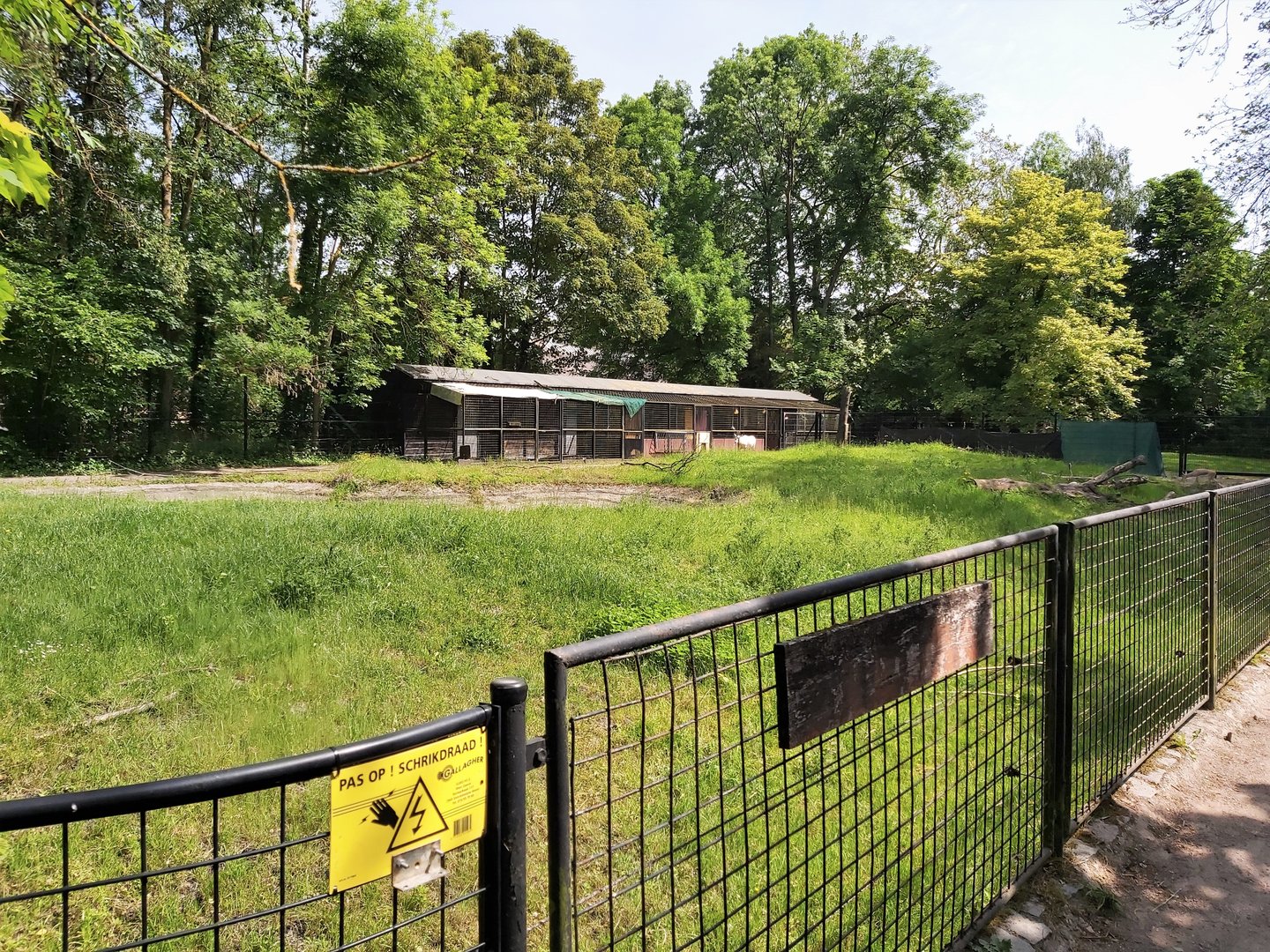 Behind the scenes - enclosure for Arabian oryx and slender-horned gazelle