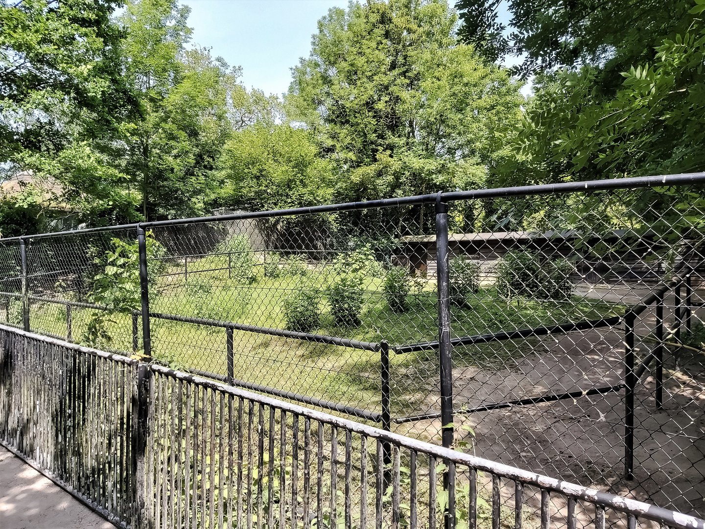 Behind the scenes - enclosure for red kangaroos