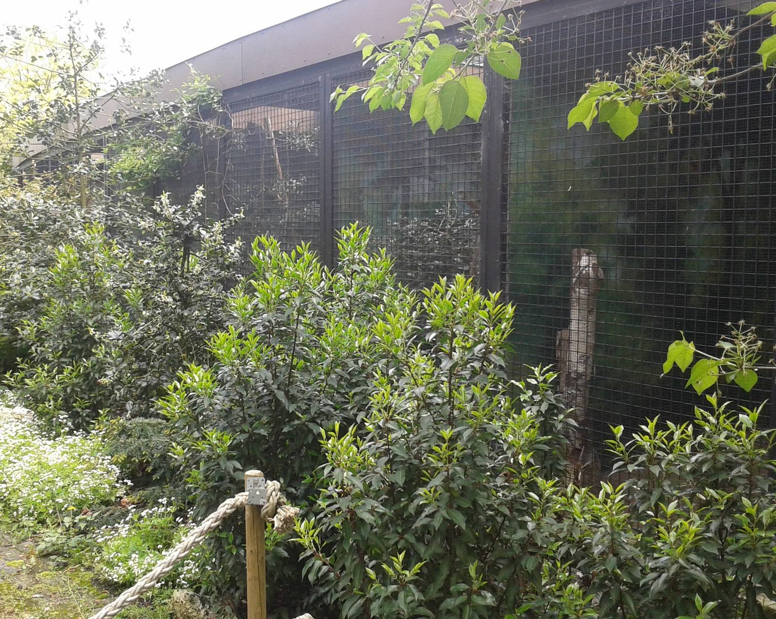 Behind the scenes enclosures