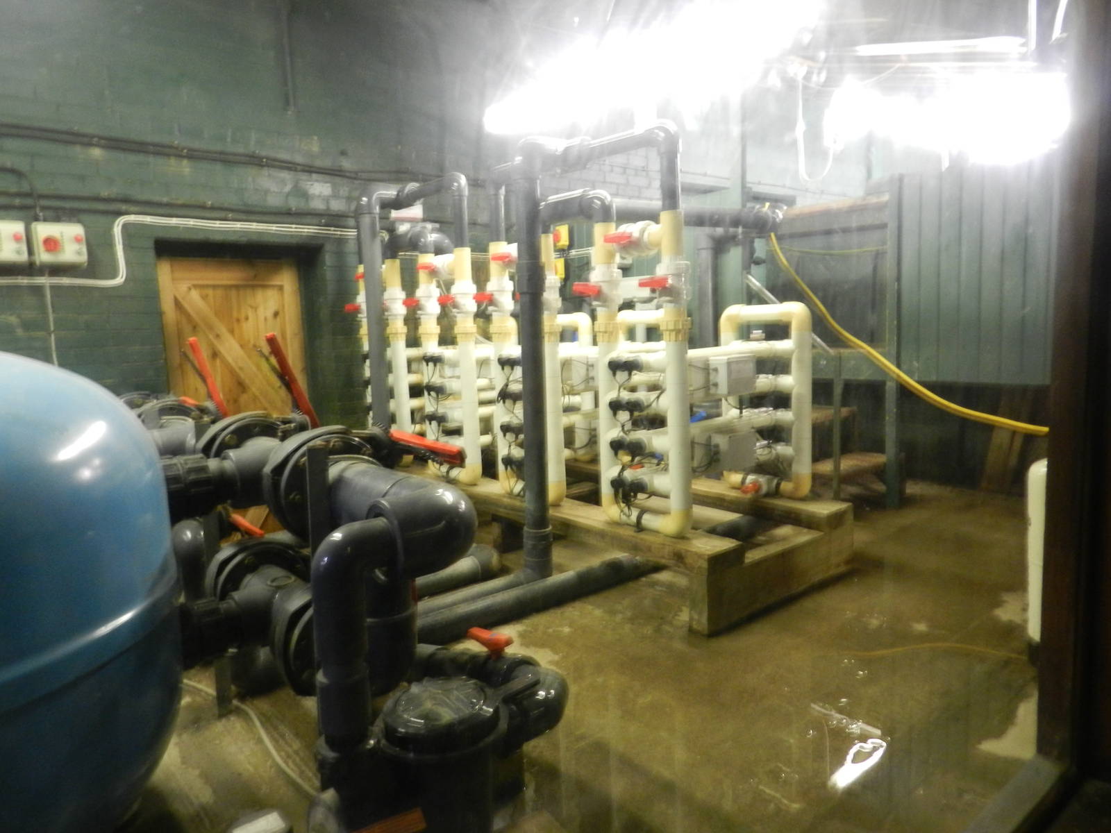 Behind the Scenes of the Aquarium at Flamingo Land - 14/10/2012