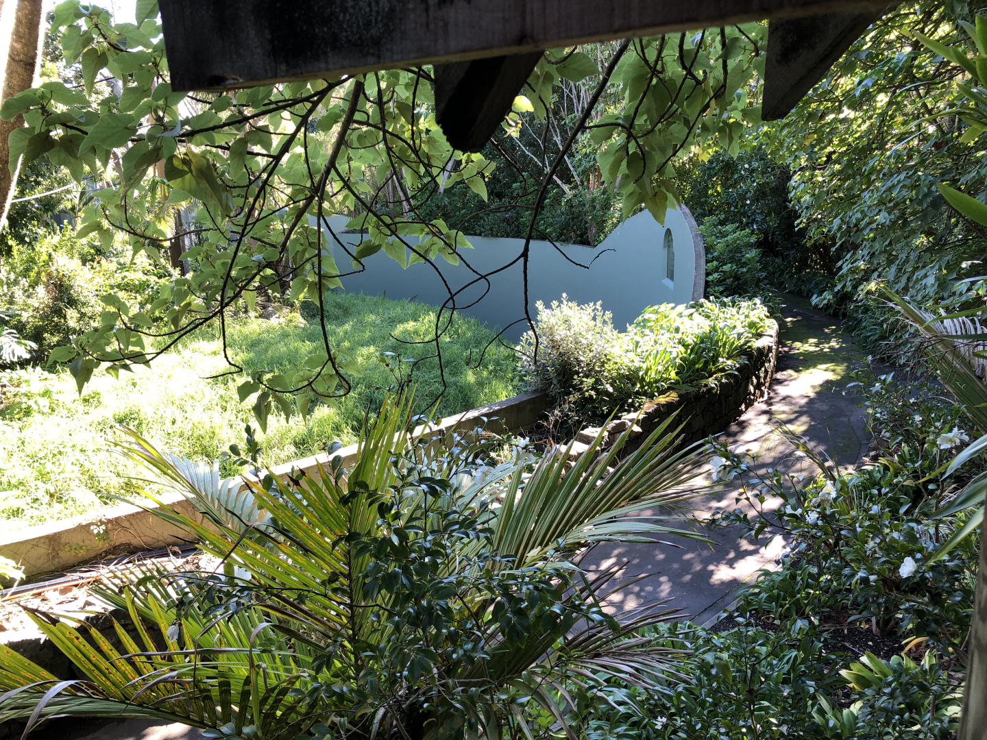 Behind the scenes, old pathway around the Orangutan exhibit