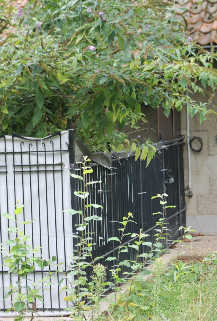 Behind-the-scenes : old pig enclosure