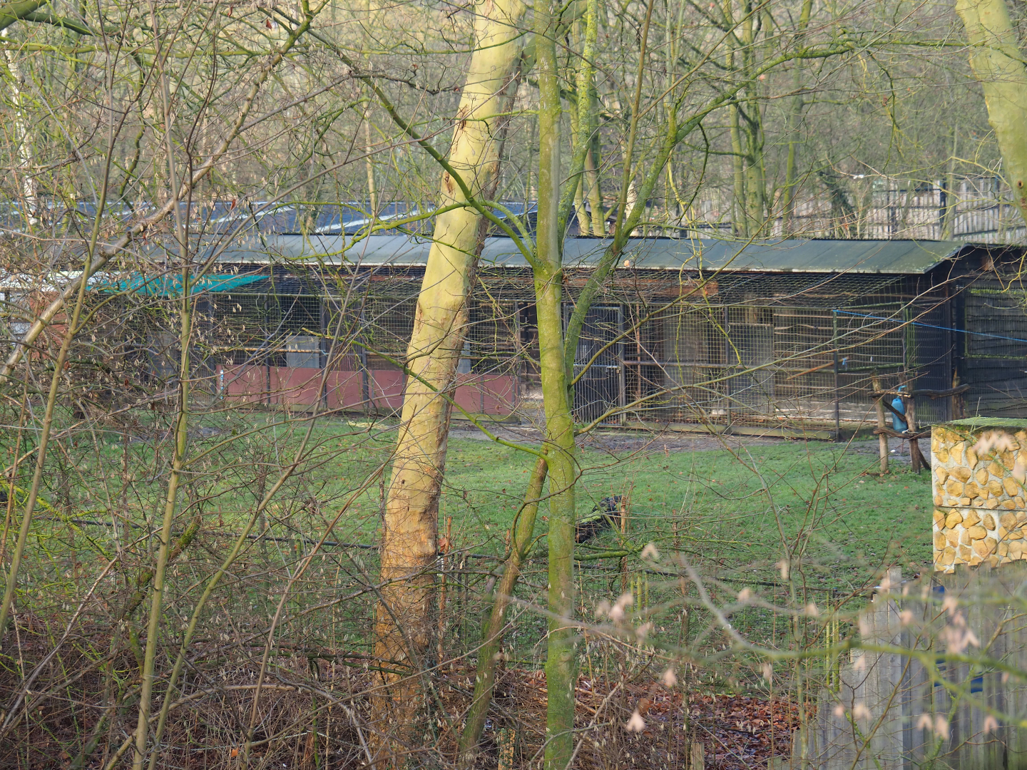 Behind the scenes paddock, seen from the Barbary macaque observation deck, 2019-12-28